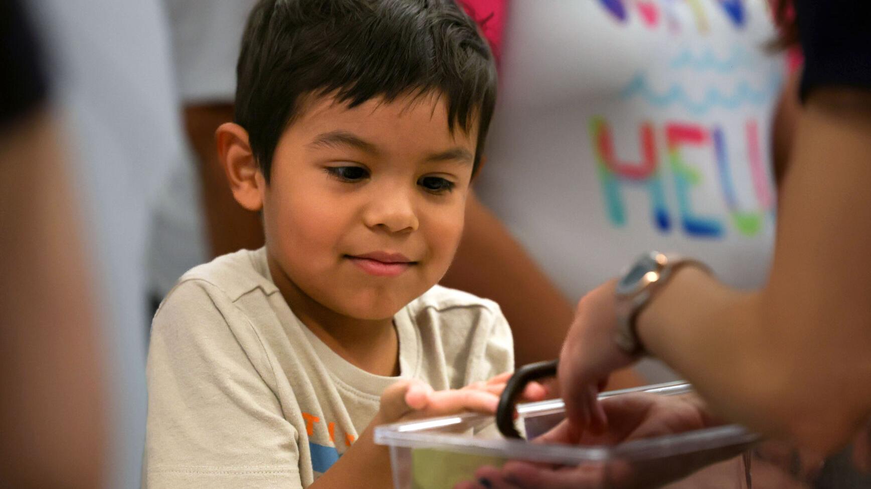 Photos: 13th annual Arizona Insect Festival